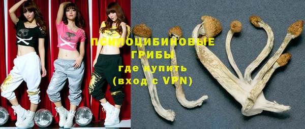 ГАЛЛЮЦИНОГЕННЫЕ ГРИБЫ Лиски