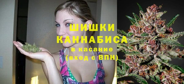 ГАЛЛЮЦИНОГЕННЫЕ ГРИБЫ Лиски