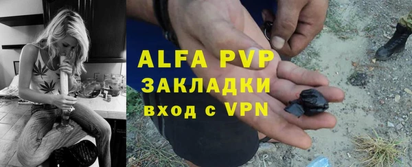 индика Беслан