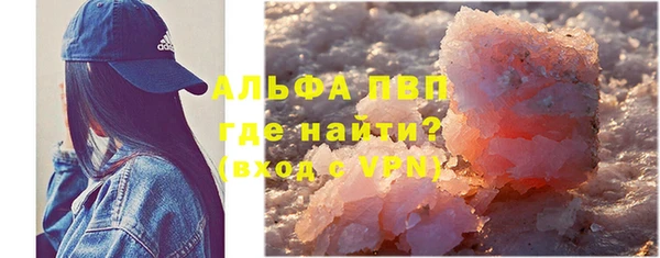 эйфоретик Болотное