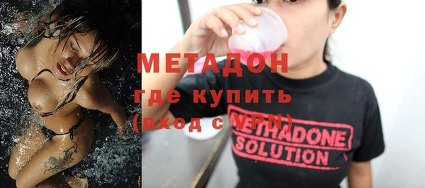 шишки Бикин