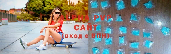 индика Беслан